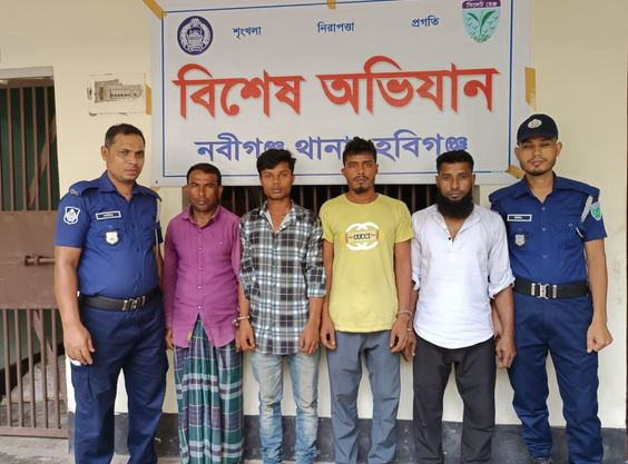 হবিগঞ্জের নবীগঞ্জে পুলিশের পৃথক অভিযানে বিপুল পরিমাণ কেজি গা...