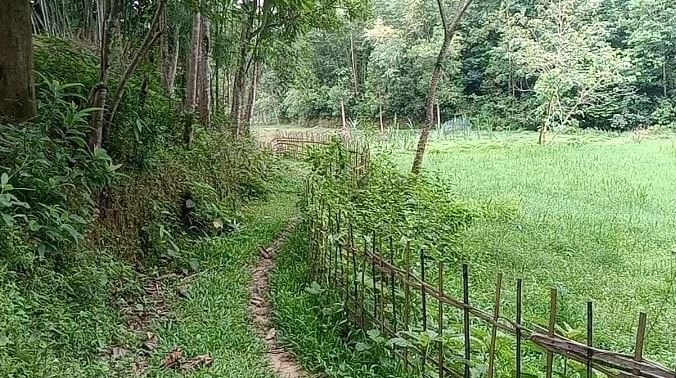 দক্ষিন বড়ধামাই গ্রামের একমাত্র রাস্তাটির বেহাল দশা -দেখার যে...