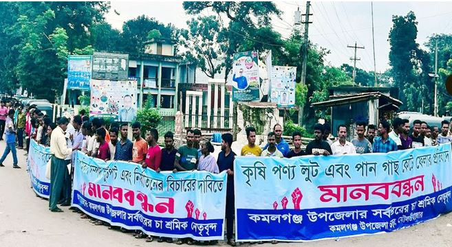 মৌলভীবাজারের কমলগঞ্জে চা শ্রমিকদের মানববন্ধন অনুষ্ঠিত