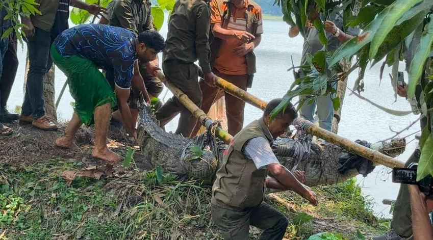 শেষ হলো সাড়ে ছয় শতকের ঐতিহ্য! খানজাহান আলী (রহ.) মাজার দিঘি...