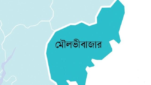 মৌলভীবাজারে শিক্ষার্থীর ওপর হামলার ঘটনায় আটক- ২