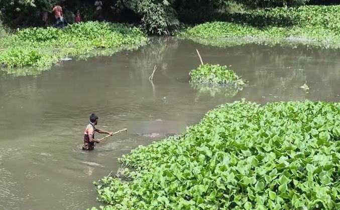 ঝিনাইদহে নিখোঁজের ৪ দিন মরদেহ উদ্ধার
