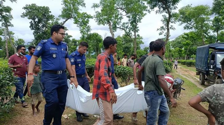 মৌলভীবাজারের শ্রীমঙ্গল উপজেলার কাকিয়াছড়া চা-বাগান থেকে এক কল...