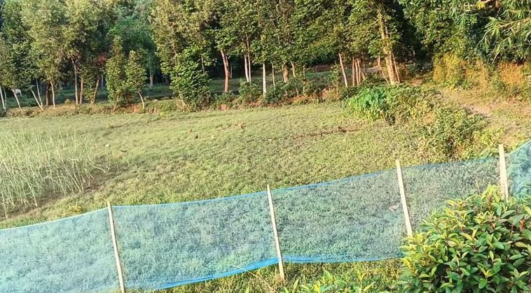 পূর্বজুড়ীতে ৩ প্রবাসীর বসতবাড়ীর জমি দখলের অভিযোগ আসুকের বিরু...
