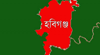 হবিগঞ্জে ১০ বছরের ভাতিজিকে কুপিয়ে খু*ন করল চাচা