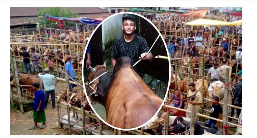 সিলেটে ‘গরু কিনলেই ছাগল ফ্রি’
