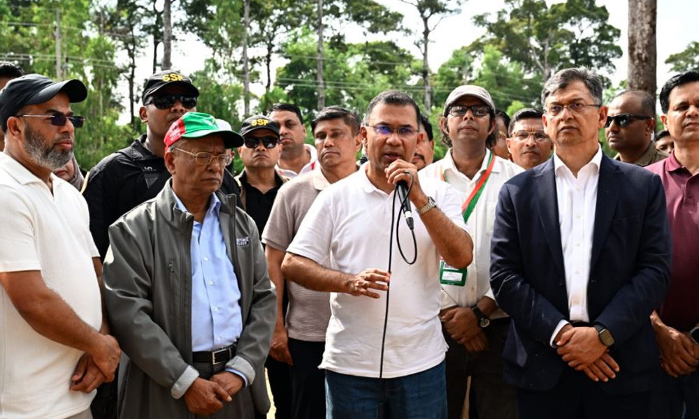 সন্তানের ভবিষ্যতের কথা ভেবে একটি করে গাছ লাগান : প্রধানমন্ত্...