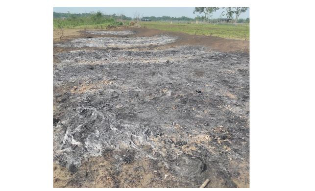 মৌলভীবাজারের কমলগঞ্জে দুবৃর্ত্তের আগুনে কৃষকের স্বপ্ন পু ড়ে...