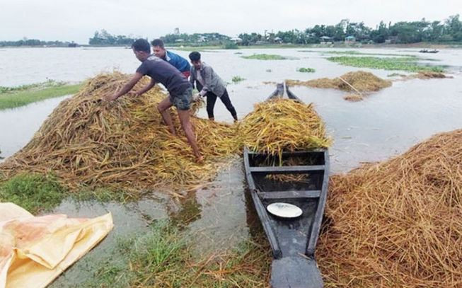 সিলেট বিভাগের ২ নদীর পানি বিপৎসীমার ওপরে, নিম্নাঞ্চল প্লাবিত