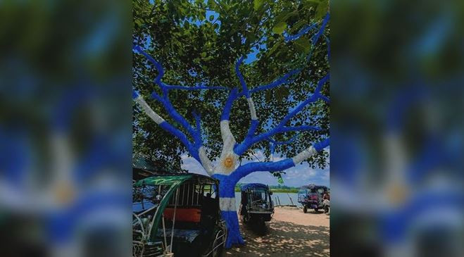 সিলেটে আর্জেন্টিনার পতাকার আদলে গাছ